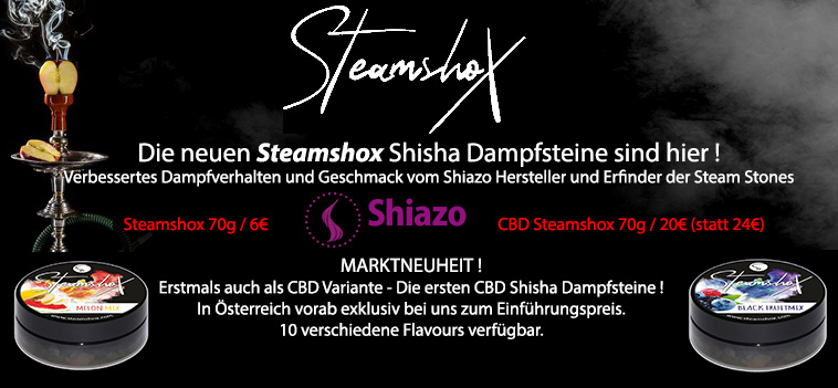 Steamshox Dampfsteine